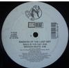 12-дюймовая пластинка RAIDERS OF THE LOST ART Back In The Day 010132 BIG BEAT 1993 US Rap HipHopRB Б/у