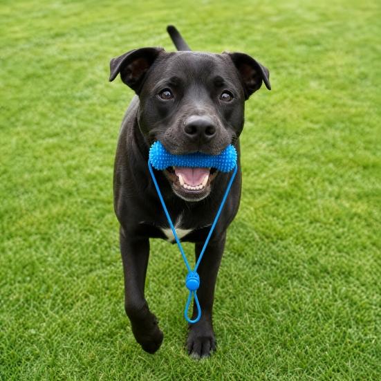 Dog Chew Toy, Teeth Cleaning Mouth Prop, Chew Toy Keeps Dog Mouth Open for Easy Brushing, Small Medium Large Dogs Oral Care Tool