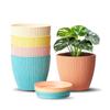 Indoor and Outdoor Round 5 Inch/12.9cm Flower Planter Pot Best for Terrace/Balcony/Home/Office Décor - Set of 5