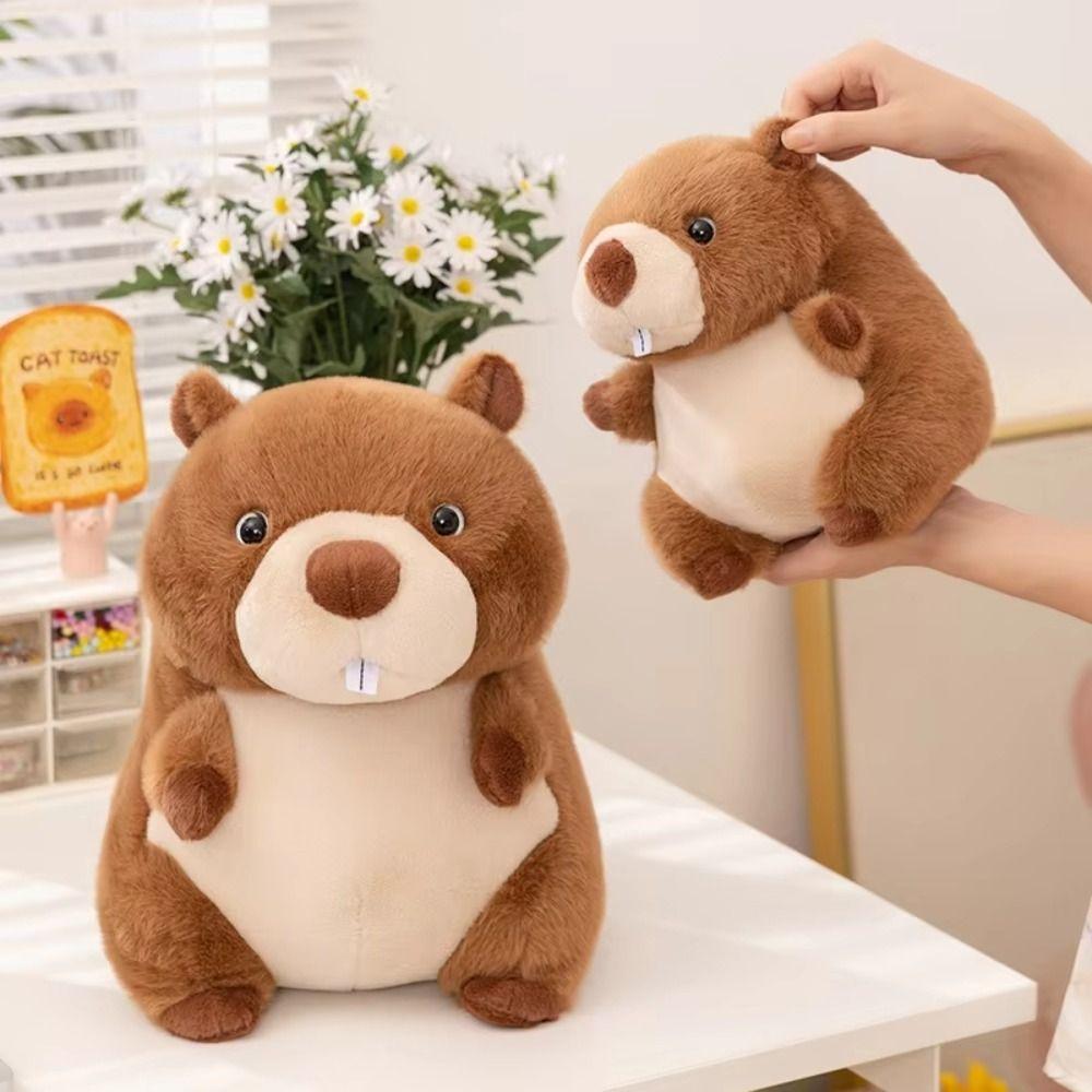 Simulation Stuffed Cartoon Groundhog Doll PP Cotton Chubby Marmot Stuffed Toy Decoration Gifts