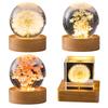 Cute Night Light with Woodern Base Forever Flowers Crystal Ball Light Office Home Decor Gifts for Men Women Kids Boys Girls