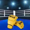 Boxing Gloves Martial Arts Half Finger Kickboxing MMA for Karate Muay Thai
