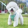 1 Set Pet Harness Buckle Adjustment Mesh Design Breathable Reflective Walking Soft Escape Proof Puppy Chest Strap Pet Supplies