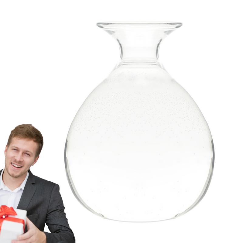 Ваза для закваски семян авокадо Ваза для выращивания семян авокадо, набор для выращивания семян авокадо, стекло для растений с наклейками, подарок для любителей садоводства