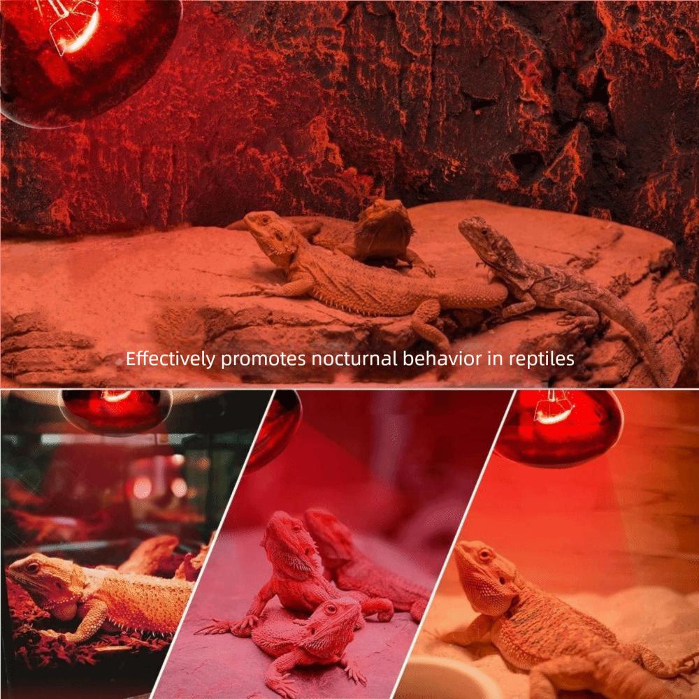25/50/75/100W Daylight Heat Bulb E27 UVA Lamp Pet Supplies Basking Light Aquarium