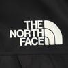 The North Face NP11501 Mountain Raintex Jacket L Black Outdoor GORE-TEX Men's Used