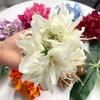Korean Style Floral Shark Clip Fairy Sweet Hair Catches Simulation Flowers Hair Claw  Beach