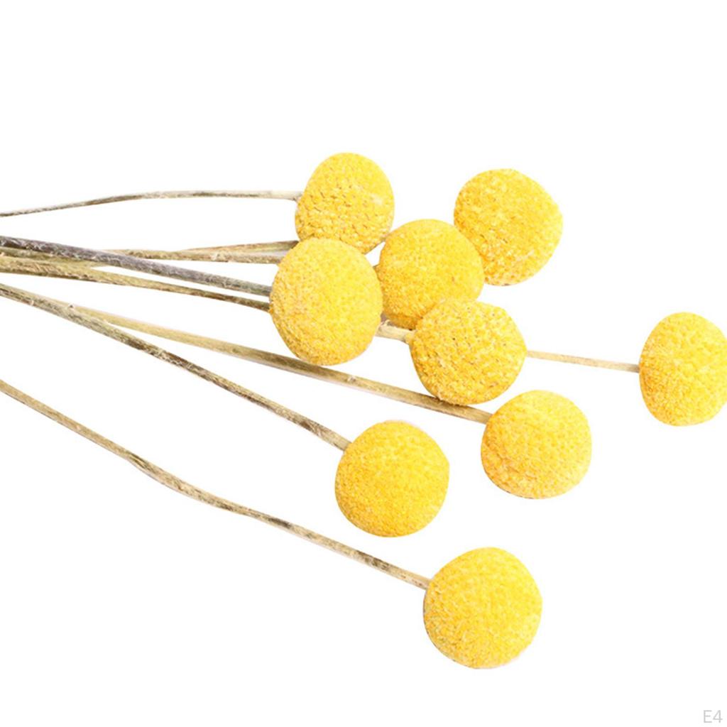 Dried Flower Assortment for Stylish Home Decor