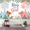 2D Boy or Girl Gender Reveal Backdrop Teddy Bear Photography Background Banner