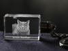 British Shorthair - Crystal Pendant with Cat Photo, Illuminated Pendant, Unique Gift by Art-Dog Brand