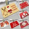 Christmas Decorations Outdoor Carpet Santa Claus Gnome Door Mat Gifts Christmas Mat Home