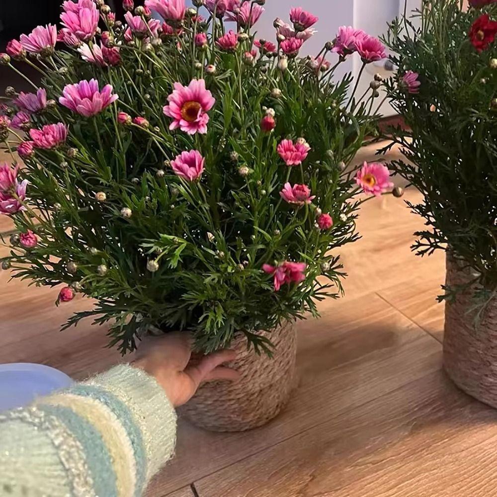 1 шт. Корзина-кашпо из травы, плетеная, для сада, террас, плетеная корзина для растений и цветов