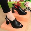 2025 Summer New Rear Empty Sandals Women's Soft Sole Thick Heel Temperament High Heels Not Tired Feet Versatile Fish Mouth Shoes
