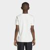 Adidas Kids Graphic Tee Collegiate