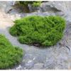 Искусственный мох, газон, украшение, полиэстеровый бонсай и микроландшафтная искусственная зелень для весеннего эстетического оформления комнаты и дома