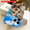 Cat Selfie with Mediterranean View All inclusive film hard phone case, compatible with iPhone 18 Pro Max 17 16 15 14 13 12 11