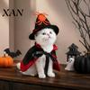 Medium Cat Costume 1 Set Halloween Witch Costume, Black Cape And Wizard Hat, Moon Pet Outfit Stars Spiders Star Cloak Pointed Hat for Cats Small Dogs