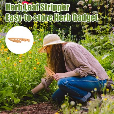 Деревянный инструмент для зачистки трав, ванильный инструмент для очистки листовой капусты, зелени, тимьяна, базилика, изогнутый край, кухонный гаджет с несколькими отверстиями