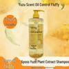 Syoss Fresh Pomelo Oil Control Volumizing Shampoo