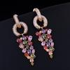 WWJ Long Dangling Drop Cluster Multicolor Zircon Women Earrings