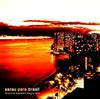 CD РАЗЛИЧНЫЕ Sarau Para Brasil WPCR11299 Warner Strategi 2002 Япония ObiJazz Б/у