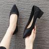 Thick Heel Low Heel Single Shoes Women's Spring and Autumn Style Temperament Pointed Work Shoes Are Not Tired Feet Shallow Mouth Middle Heel Commuting