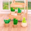 Micro-landscape Simulation Cactus Gardening Succulent Decorative Accessories Car Desktop Mini Ornaments