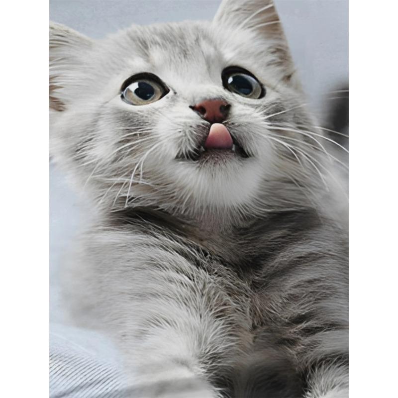 Одежда для девочек Футболка с принтом милого котенка 3D Детский топ с круглым вырезом и короткими рукавами