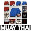 Berserk Muay Thai Kick Boxing UFC MMA Mixed Marcial Art Shorts Anime Men Women Unisex Double Layer Quick Dry Breathable Sport Gym Fitness Workout