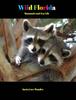 Книга Wild Florida : Mammals and Sea Life