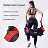 Bulgarian Bag Training Bag