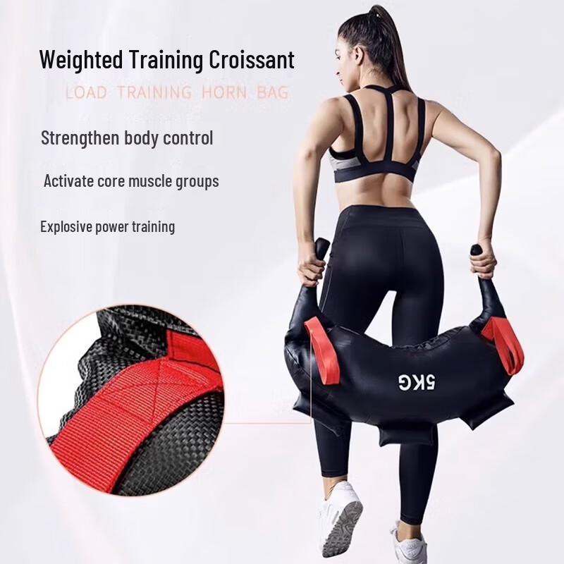 Bulgarian Bag Training Bag