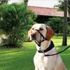 Dogs Prevent from Biting Pet Traction Training Belt Dog Mouth Cover Harness Pet Muzzle Dog Collar