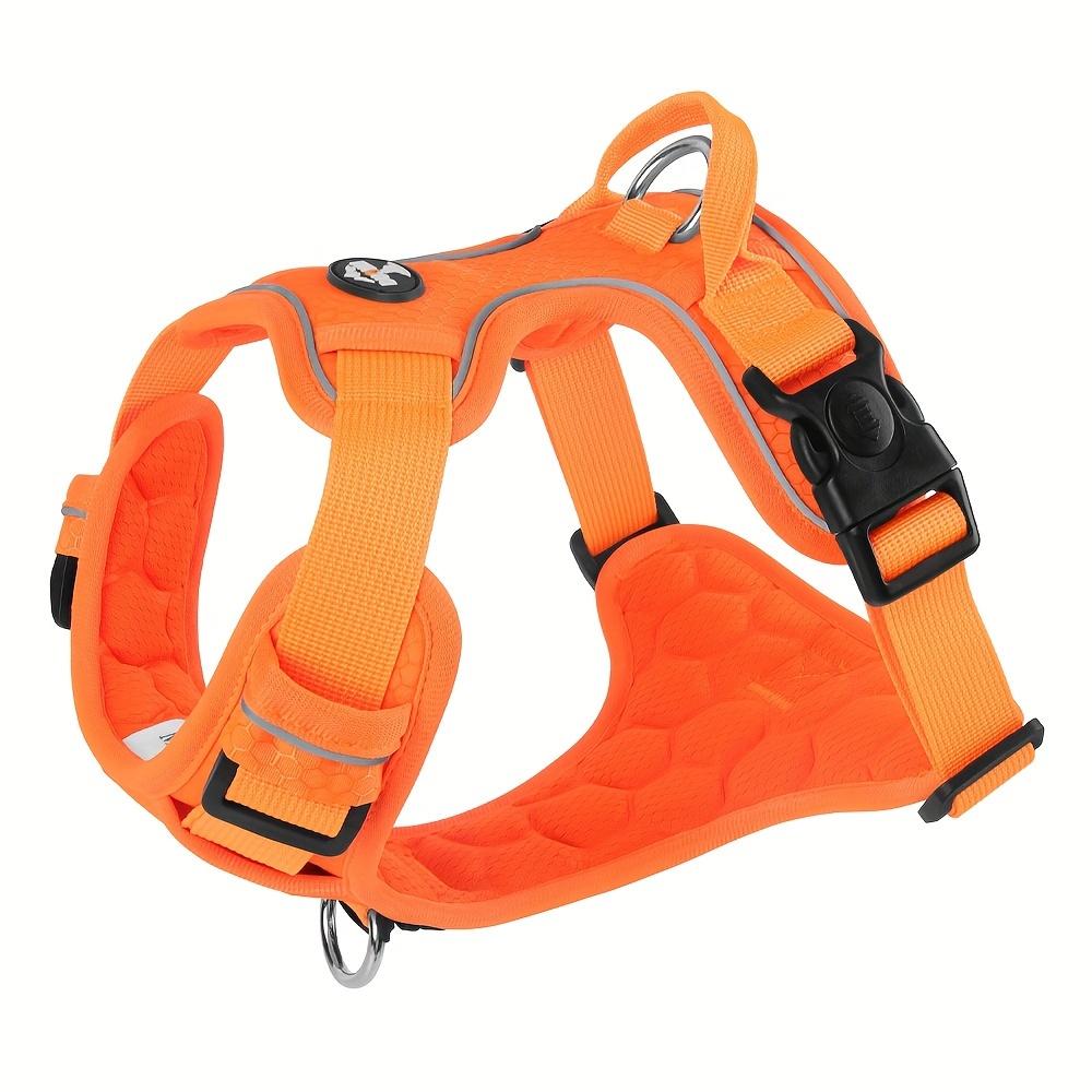 Регулируемая и взрывобезопасная шлейка и поводок для собак для безопасного и веселого отдыха на свежем воздухе с вашим питомцем #King's day