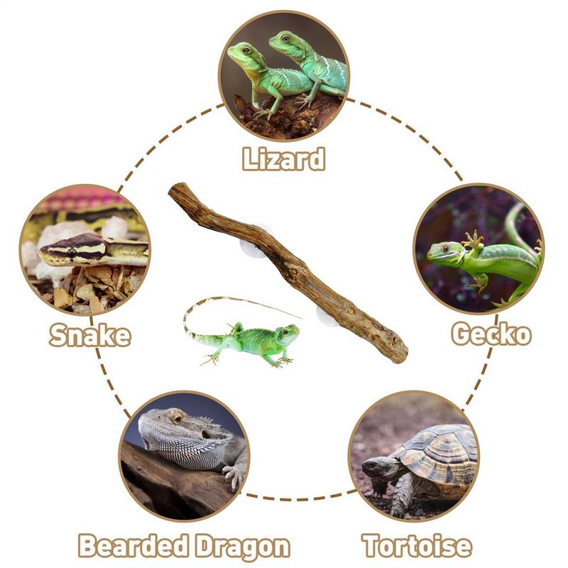 Искусственные ветки Пещера-уголок для рептилий Искусственная ветка Украшение для растения террариума С присоской Амфибия Ящерица Змея Лазание