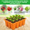 12 Grids Seeds Starting Tray with Drainage Holes Silicone Biodegradable Nursery Pots for Vegetable Herb Flower Seeds