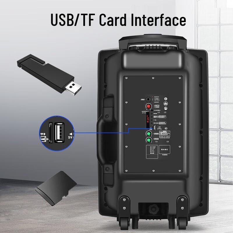 Soaiy A89WM 12-дюймовая портативная Bluetooth-караоке-колонка