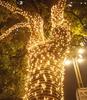 Outdoor LED Twinkling String Lights for Garden, Festival, Christmas, Wedding, Courtyard Decoration