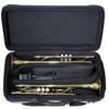Bags Piston Trumpet Fiber Case, Holds 2 Trumpets, Metallic Gray, EC2TRM M-GREY