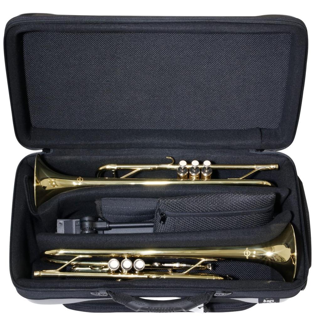 Bags Piston Trumpet Fiber Case, Holds 2 Trumpets, Metallic Gray, EC2TRM M-GREY