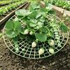 Опора для клубники Многоразовая рама-опора для клубники Рама для выращивания клубники Держит ягоды чистыми и на высоте от земли для здорового роста