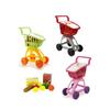 VICAM Supermarket Trolley