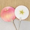 Cartoon Fruit Fruit Fan Multicolor Circular Fan Creative Handheld Fan  Summer Season