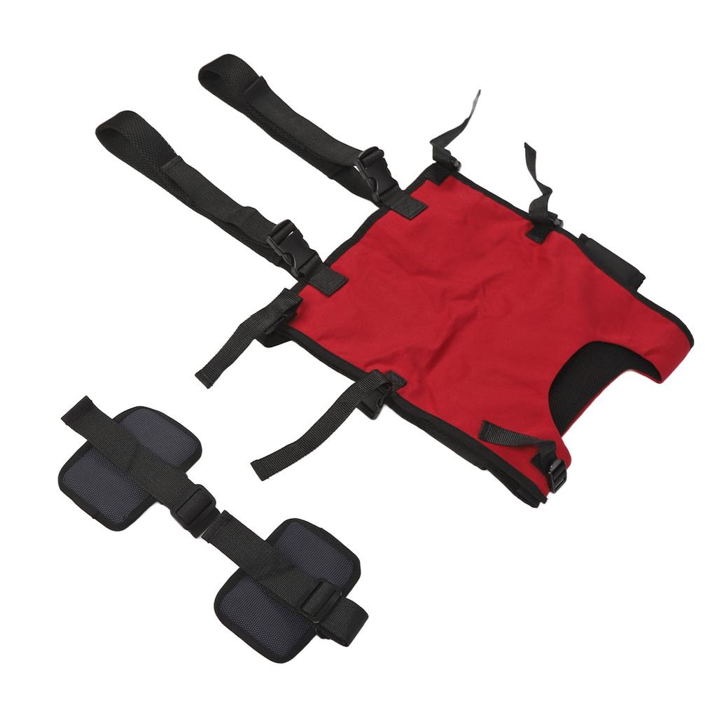 Toddler Walking Harness Standing Assistant Drop Support Adjust Size Walk Learning Helper for