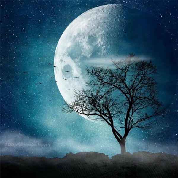 Алмазная картина, новый пейзаж, дерево, 5D DIY, Алмазная вышивка, распродажа, Луна, картины из стразов, мозаика, домашний декор