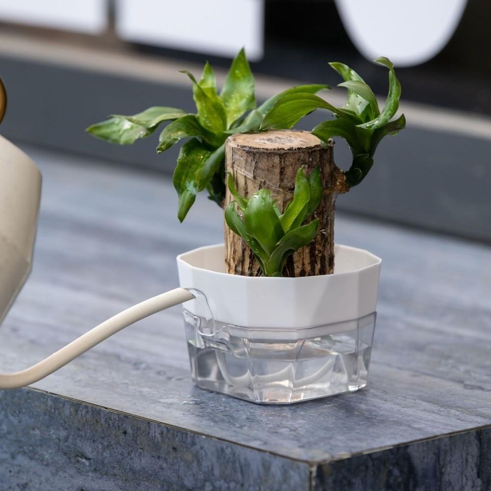 6PCS Root Visibility Hydroponic Container Eco-Friendly Plastic Butterfly Orchid Flowerpot Water Storage Lazy Flowerpot Office