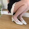 French Gentle Single Shoes Female 2025 Spring New Mary Jane Thick Heel Evening Shoes with Skirt Fairy Style Grandma Shoes Tide