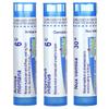 Jet Lag Relief, Meltaway Pellets, Combo Pack, 3 Tubes, 80 Pellets Each