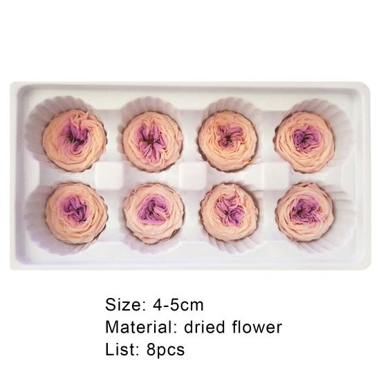 Нежные бессмертные цветы, действительно выглядящие, элегантные, экологически чистые