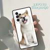 Забавный милый пес Акита чехол для телефона Для Samsung Galaxy A42 A31 A40 A51 A71 A32 A80 A91 A52 A72 A73 A20e A21S A50 A70 A11 A12 Чехол
